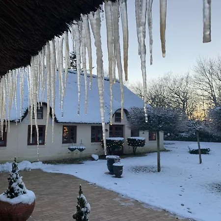 Apartament Mindedalen - Idyl Taet Pa Alt Og Helt I Fred Billum
