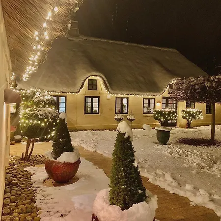 Apartament Mindedalen - Idyl Taet Pa Alt Og Helt I Fred